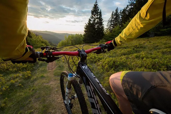 Mountain biker at the Herzogenhorn, Black Forest, Baden-Wuerttemberg, Germany