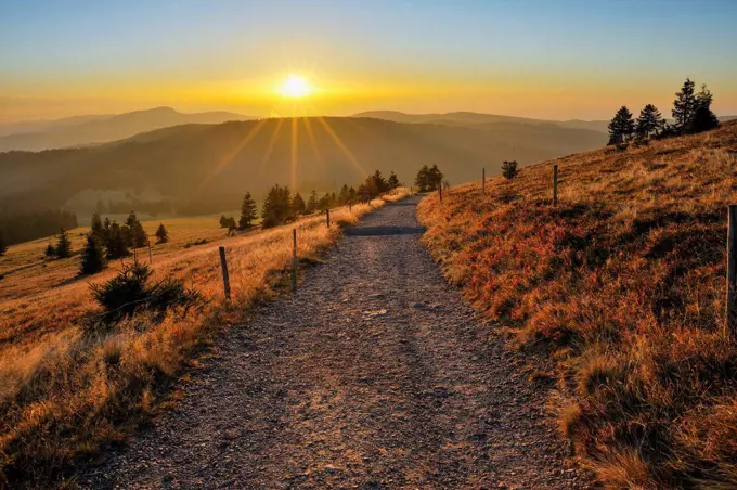 Path at sunset, Feldberg, Black Forest, Baden Wurttemberg, Germany