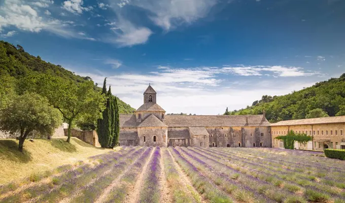 Senanque abbey, near Gordes, Provence, France