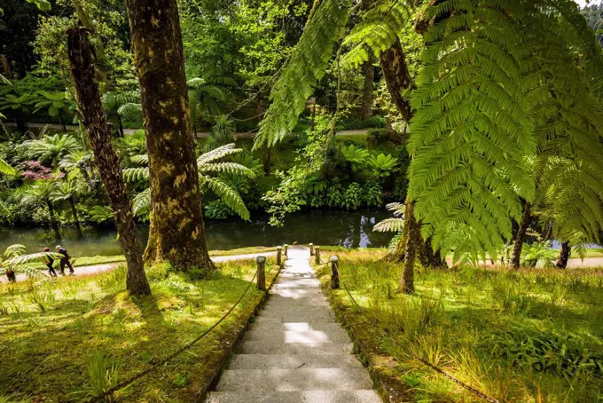 Portugal, Azores, Sao Miguel Island, Furnas, Terra Nostra Garden