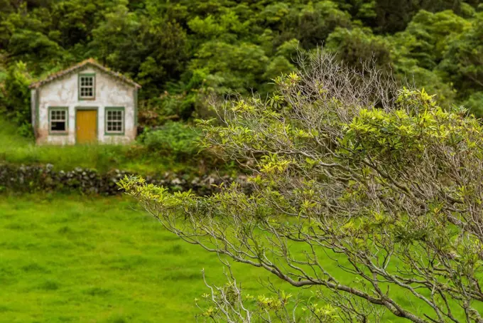 Portugal, Azores, Santa Maria Island, Pico Vermelho, old farmhouse