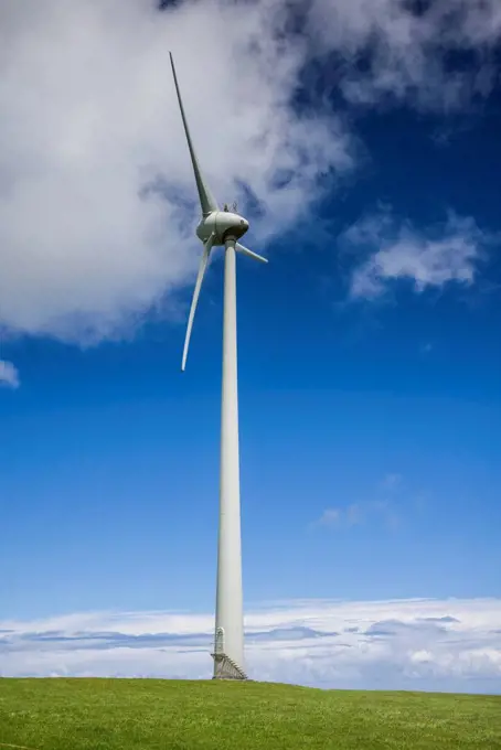 Portugal, Azores, Terceira Island, Serra do Cume, windmills