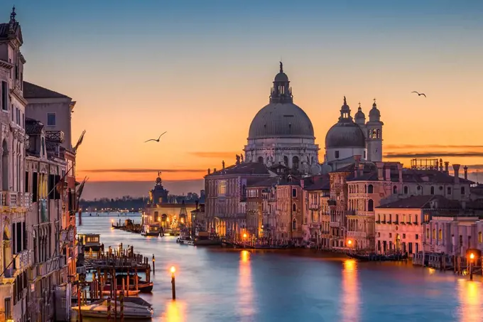 Grand Canal at night with Basilica Santa Maria della Salute, Venice, Italy