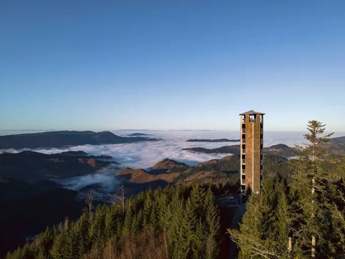 Sea of fog, Buchkopfturm, Black Forest, Baden-Wuerttemberg, Germany, Europe