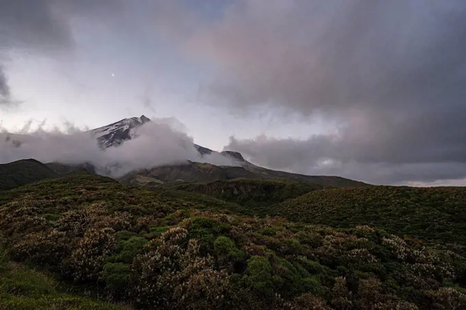 Summit of Mount Taranaki in Egmont National Park in evening mood, New Plymouth Province, North Island New Zealand