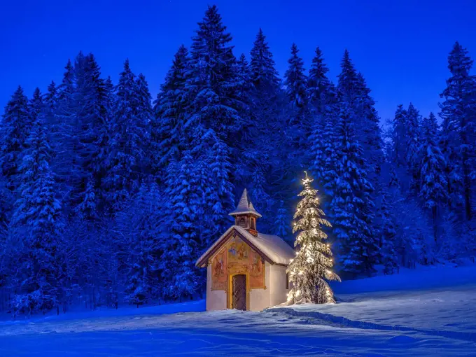 Illuminated Christmas tree in front of a chapel in winter, Bavaria, Upper Bavaria, Germany, Europe