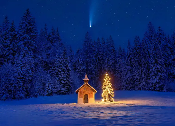 Illuminated Christmas tree in front of a chapel in winter, Bavaria, Upper Bavaria, Germany, Europe