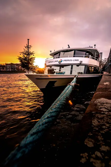 Christmas pier and ship of Primus Line, Christmas tree, sunset in Frankfurt am Main, Hesse, Germany