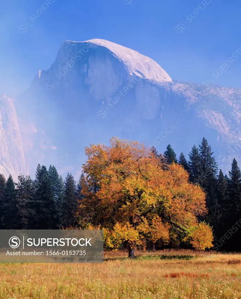 Mountains: Half Dome, Yosemite Nat Pk, Ca, USA