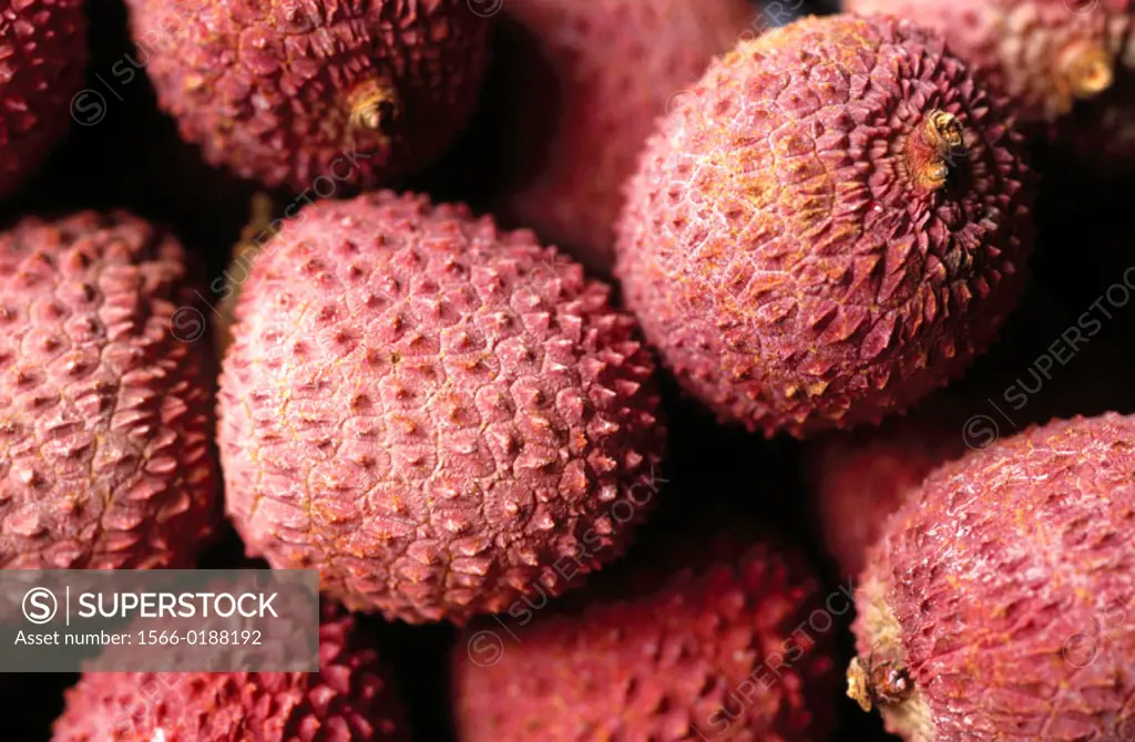 Lychee nut (Litchi chinensis). South China