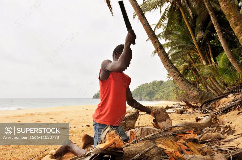 young boy openning coconut with a machete on Jale beach in the far southern part of Sao Tome Island, Republic of Sao Tome and Principe, Africa.