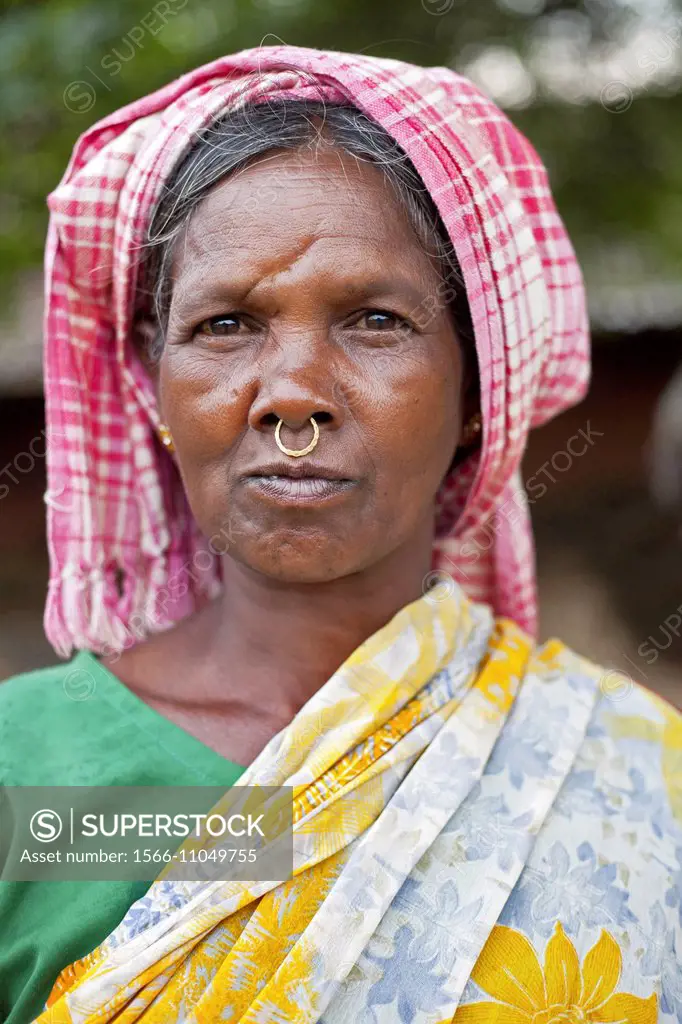 Portrait of a tribal woman wearing red and white cotton Gamcha on her head and the nose-ring. Munda tribe. Bartoli, Khunti dist, Ranchi, Jharkhand, In...