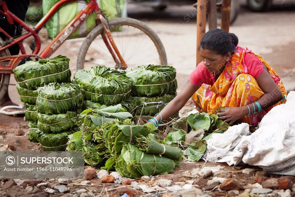 Munda tribal woman selling leaf plates called patal made from jungle Saal leaves (Shorea Robusta ), Ranchi, Jharkhand, India.