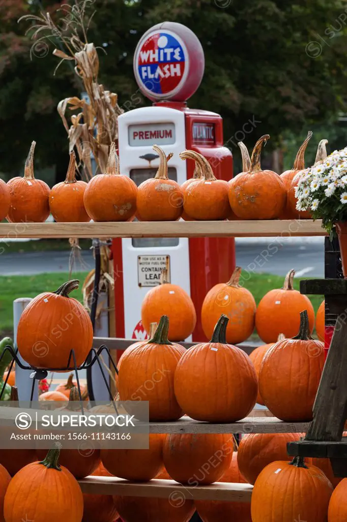 USA, Pennsylvania, Pennsylvania Dutch Country, Bird in Hand, Old Village Store and pumpkins, autumn.