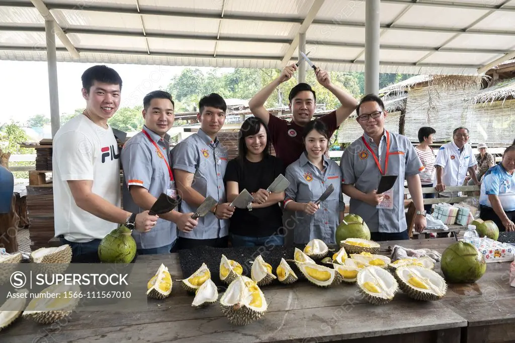 Durian 'Musang King' fests at River Hill Resort, Raub, Pahang, Malaysia