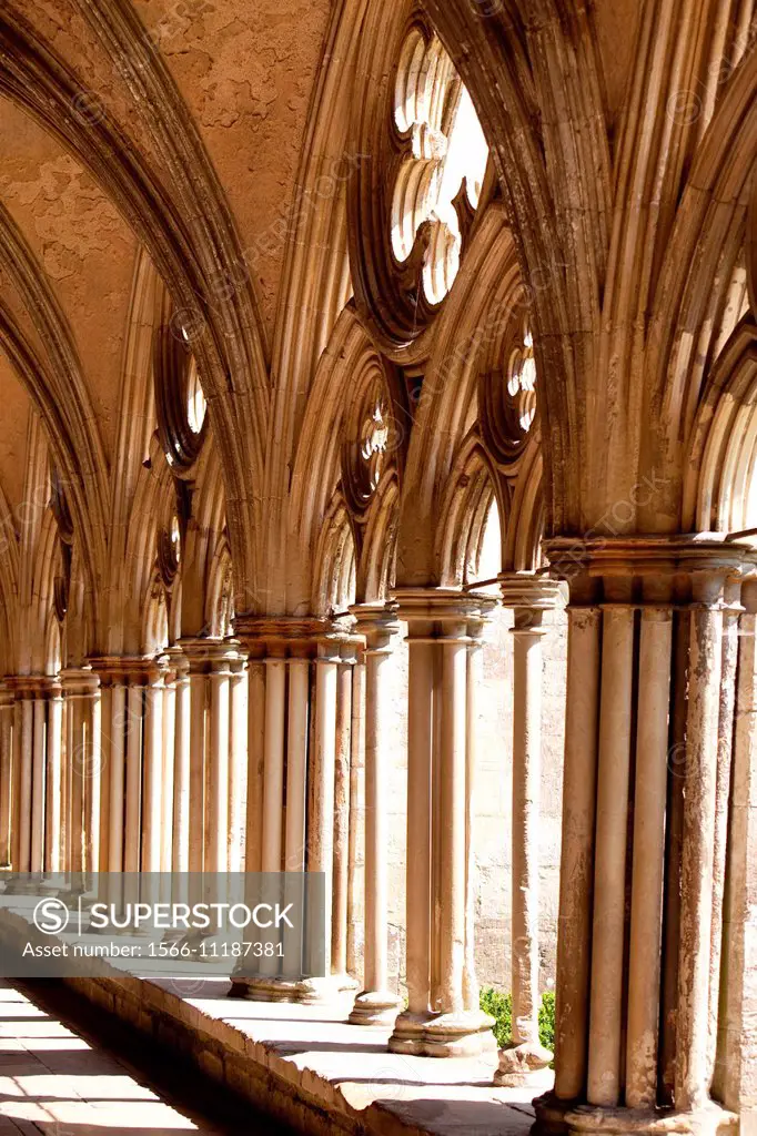 Salibury Cathedral cloisters Salisbury Wiltshire England.