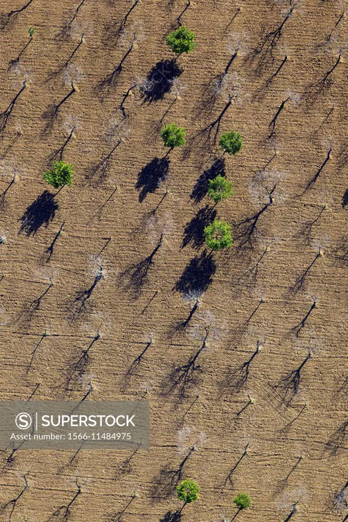 Aerial View of Mallorca farm land, Mallorca, Balearic Island, Spain.