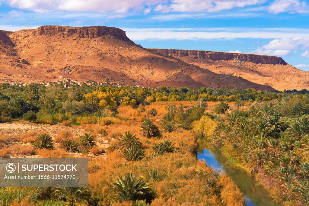 Tafilalet Oasis, Tafilalt Oasis, Ziz River, Gorges du Ziz, Ziz Valley, Ziz Gorges, Tafilalet region, Morocco, North Africa.