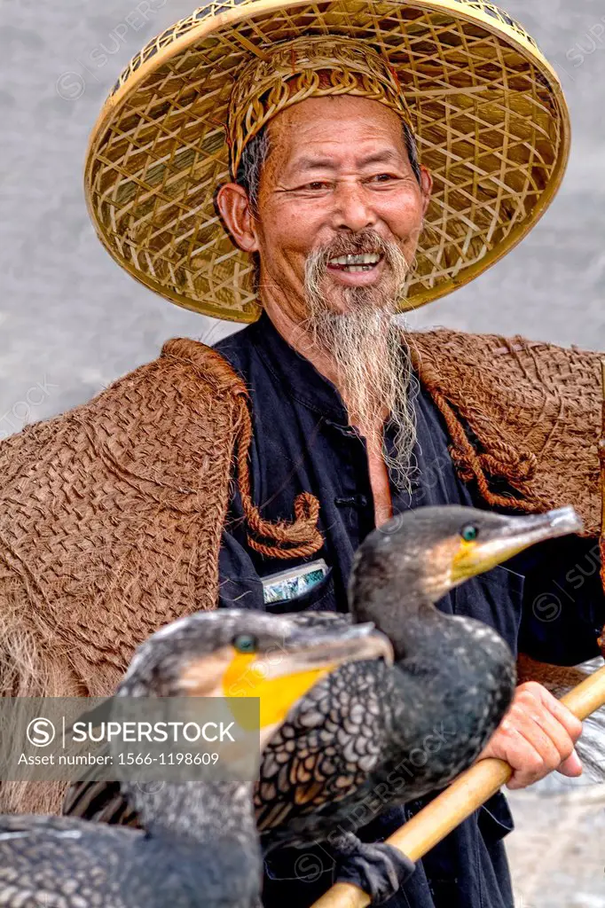 Old man fisherman with his cormorant fishing bird in traditional costume in  Yangshuo China. - SuperStock