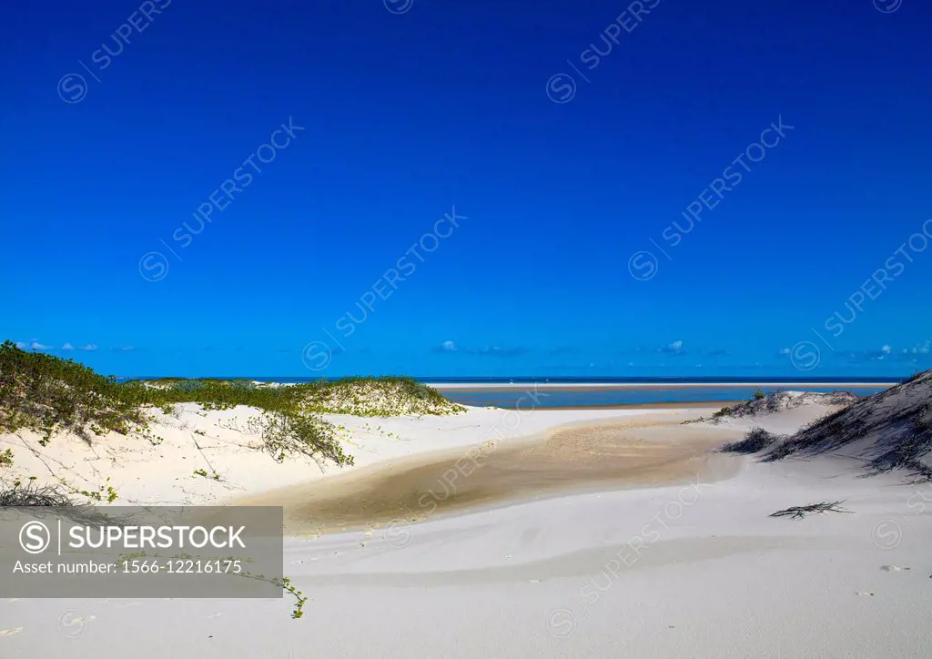 Sand Dune In Bazaruto National Park, Vilanculos, Mozambique