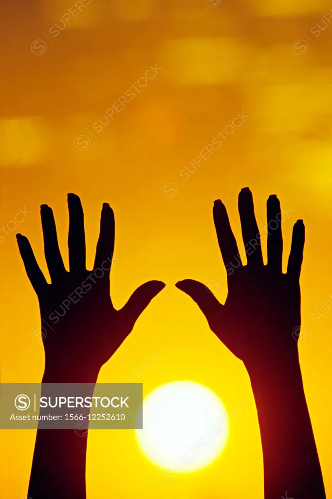 Hands reaching for Sun.