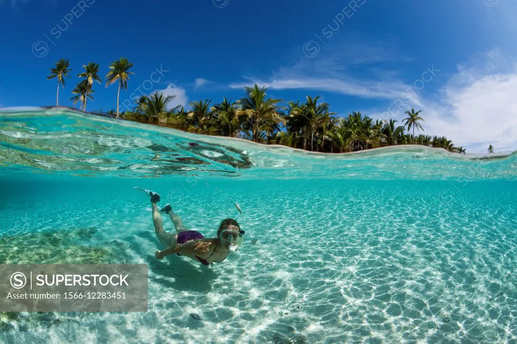 Snorkeling off palm-lined Island, Fadol, Kai Islands, Moluccas, Indonesia.