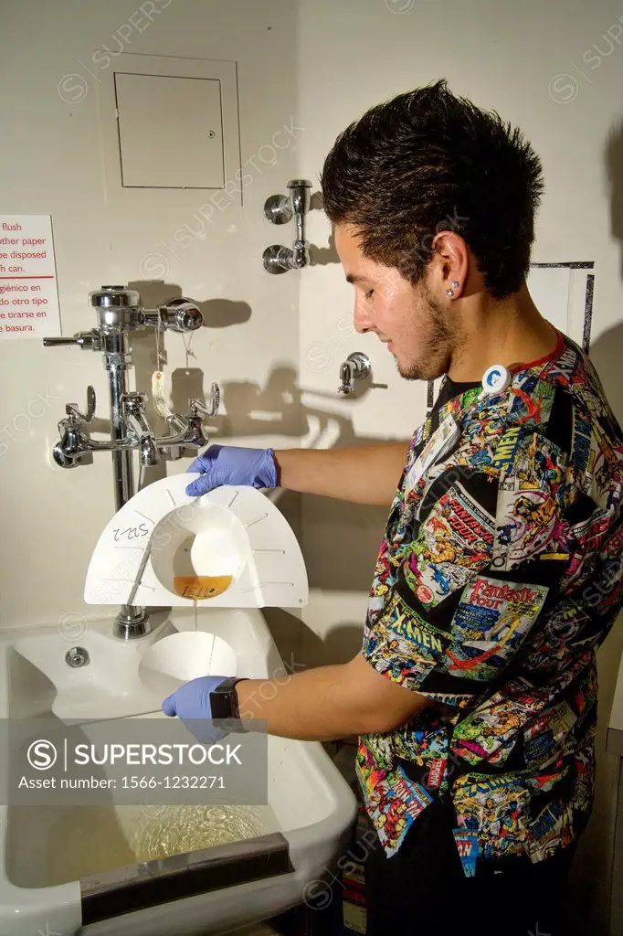 A nursing assistant at the Childrens Hospital of Orange County, CA, pours urine from a commode hat into a strainer over a sink to filter out a kidney ...