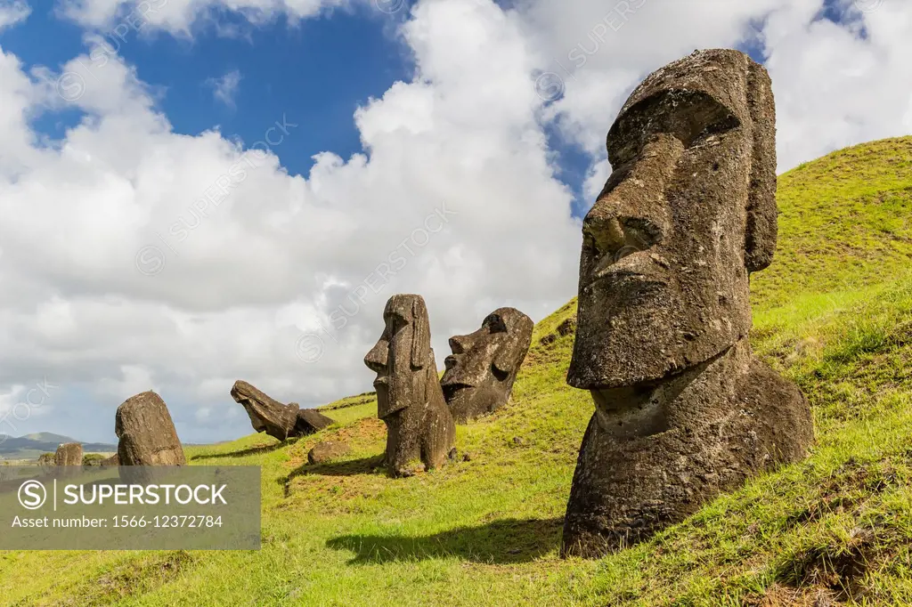 Moai sculptures in various stages of completion at Rano Raraku, the quarry site for all moai on Easter Island, Isla de Pascua, Rapa Nui, Chile.