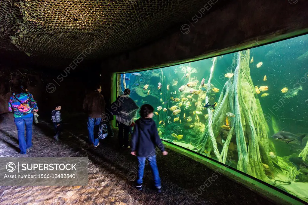 Palma Aquarium, founded in 2007 and owned by the company Coral World International, Arenal, Palma, Majorca, Balearic Islands, Spain