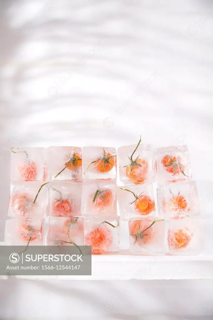 Presentation of ice cubes inside with grains of tomato Pachino.