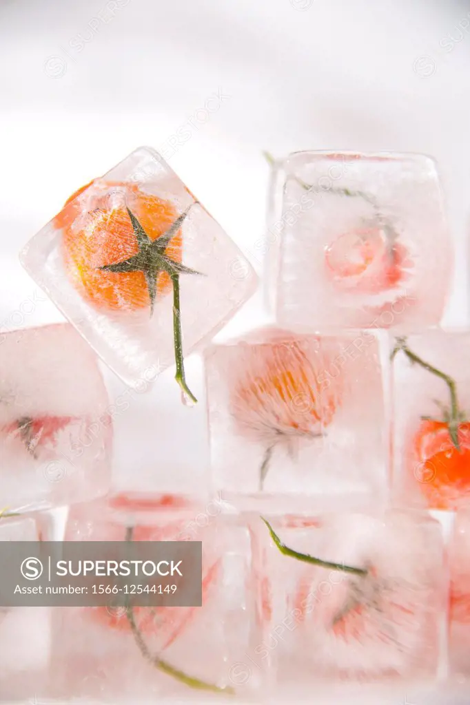 Presentation of ice cubes inside with grains of tomato Pachino.