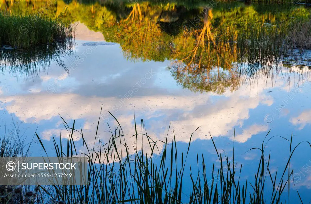 Lagoon, Valley of the Ambroz river, Cáceres, Extremadura, Spain, Europe.