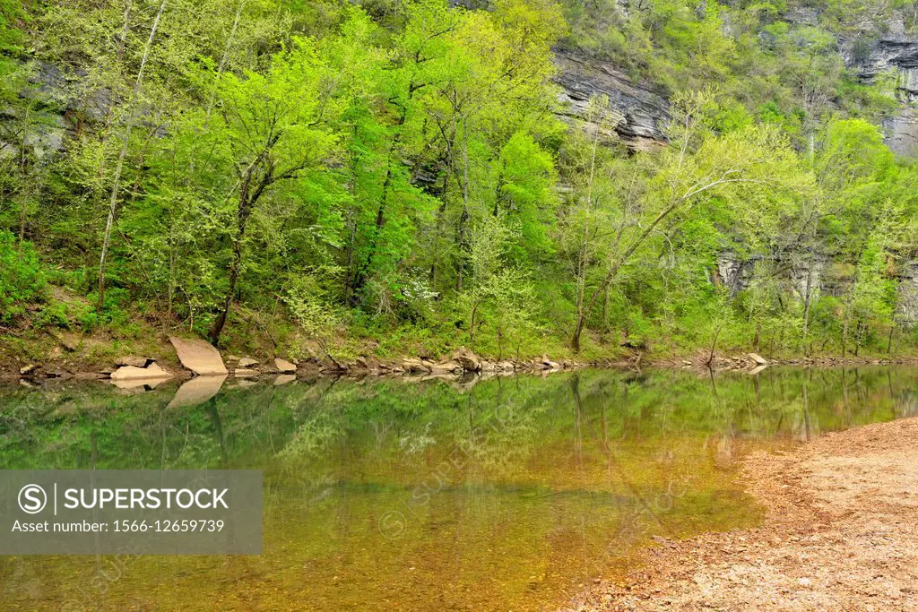 Cliffs and trees on the Buffalo River near Pruitt Landing, Buffalo National River, Arkansas, USA.