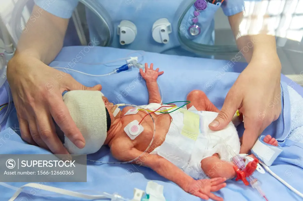 Nurse holding newborn baby in incubator in neonatal intensive care unit, Hospital Donostia, San Sebastian, Basque Country, Spain