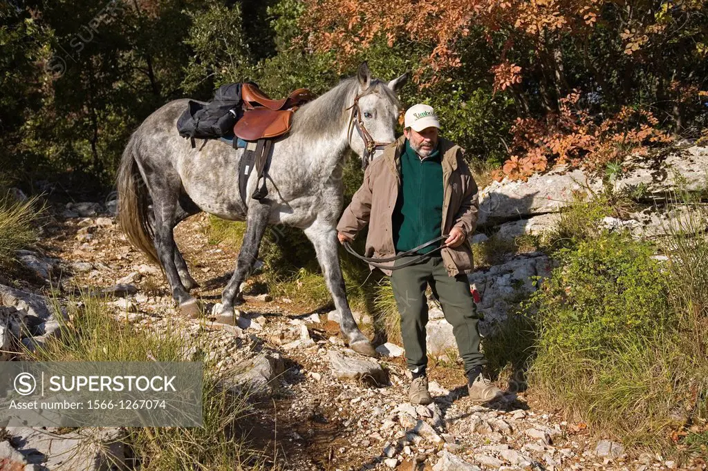 europe, italy, tuscany, garfagnana, fabbriche di vallico area, ranch la fornace, trekking by horse, horseman