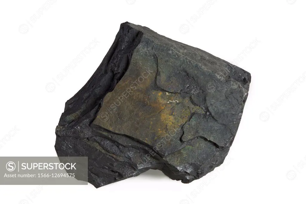 Cannel Coal AKA: Candle Coal, Boghead Coal and Torbanite, is a type of oil shale.