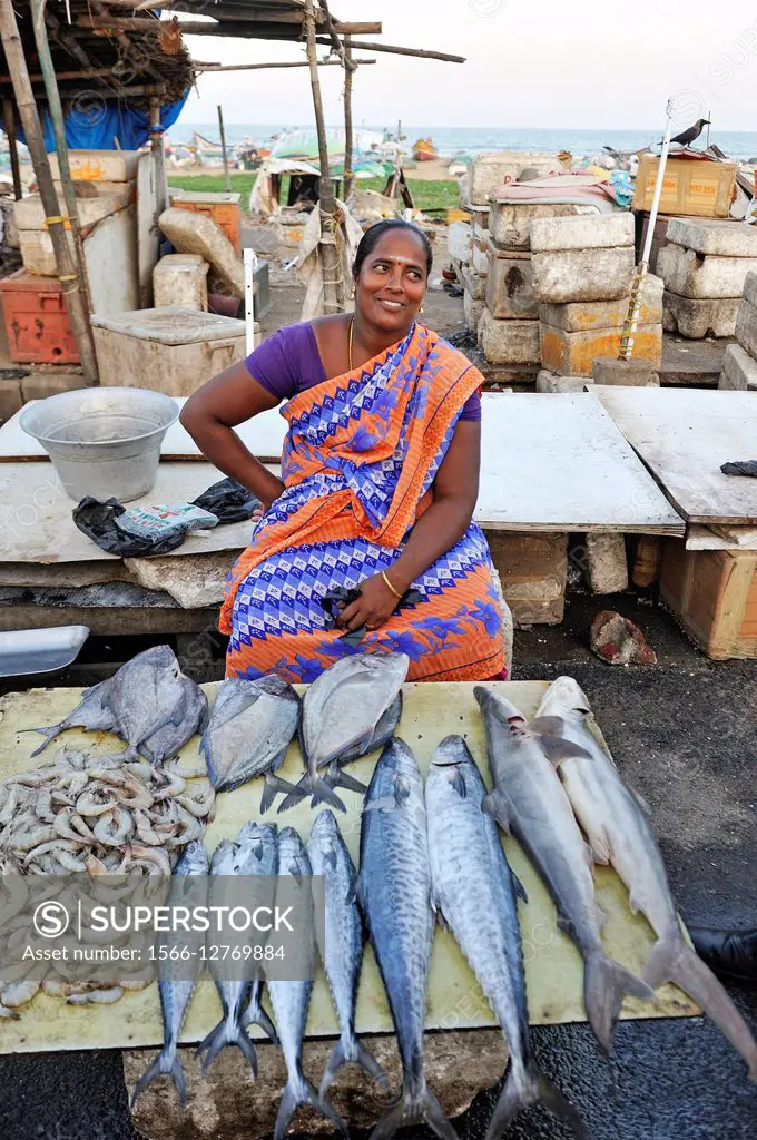 fish seller at Marina Beach, Baie of Bengal, Chennai Madras, Coromandel  Coast, Tamil Nadu state, South India, Asia. - SuperStock