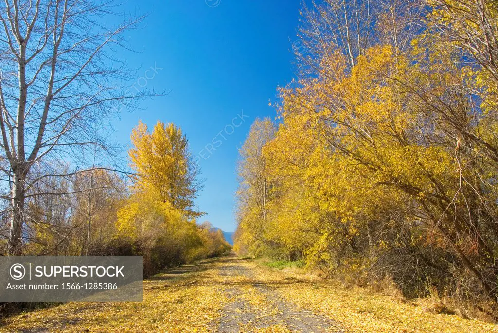 Trail in autumn, Wood River Wetland, Klamath Falls District Bureau of Land Management, Oregon.