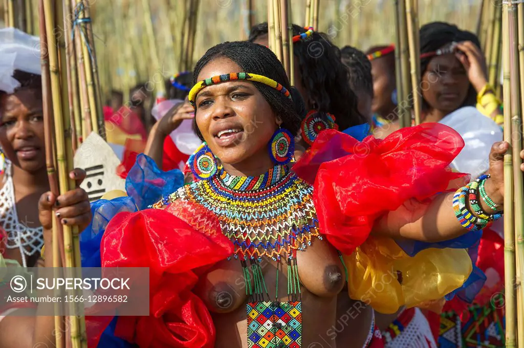 Ludzidzini, Swaziland, Africa - The Swazi Umhlanga, or reed dance ceremony, 100,000 unmarried women , or maidens, celebrate their virginity by bringin...