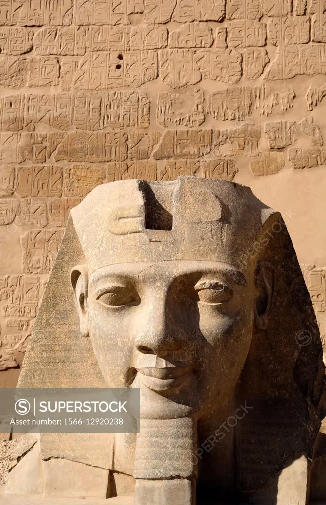 Head of Ramses II, Luxor Temple, Luxor, Egypt