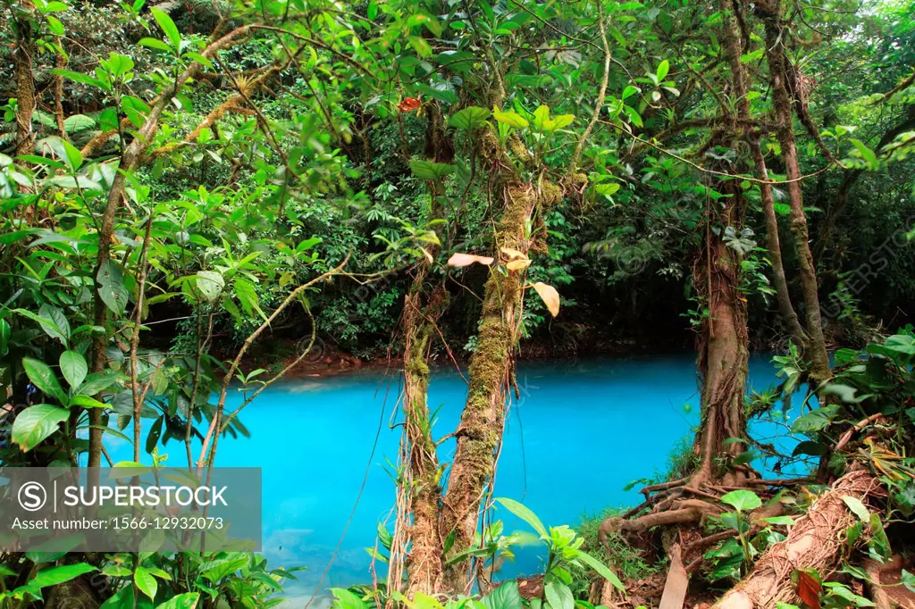 Rio Celeste. Parque Nacional Volcan Tenorio, Costa Rica.