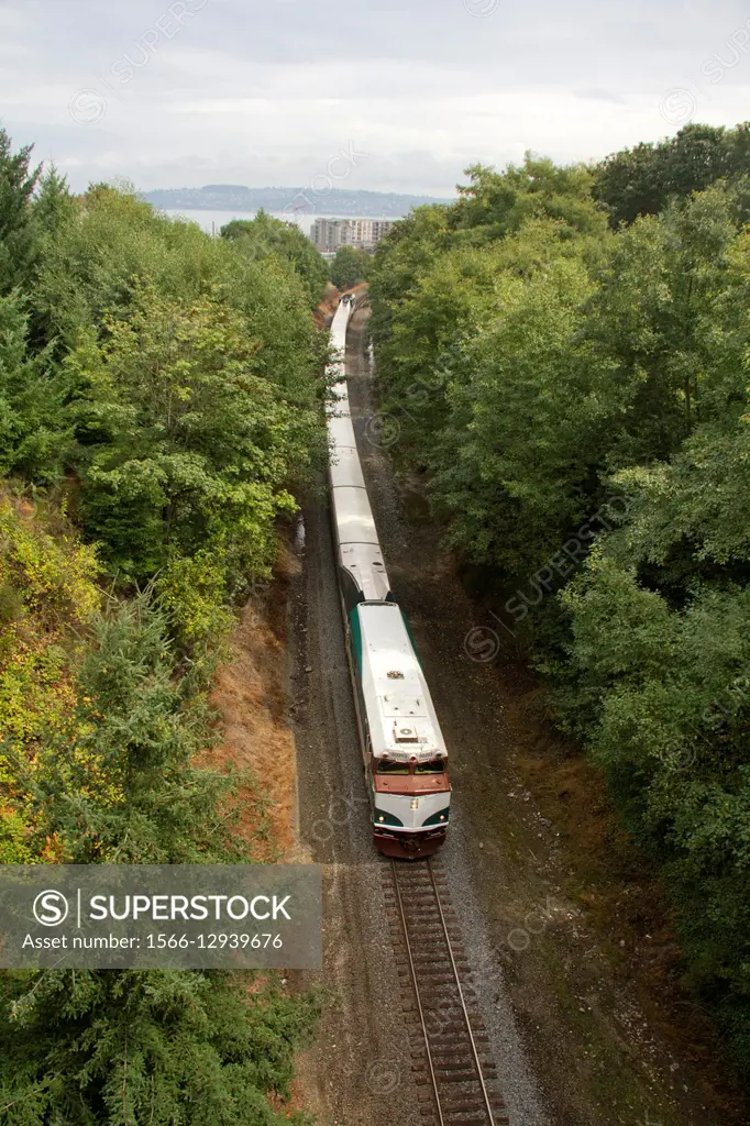The Amtrak Cascade Talgo passenger train west of Tacoma, Washington, headed south toward Portland, Oregon, USA.