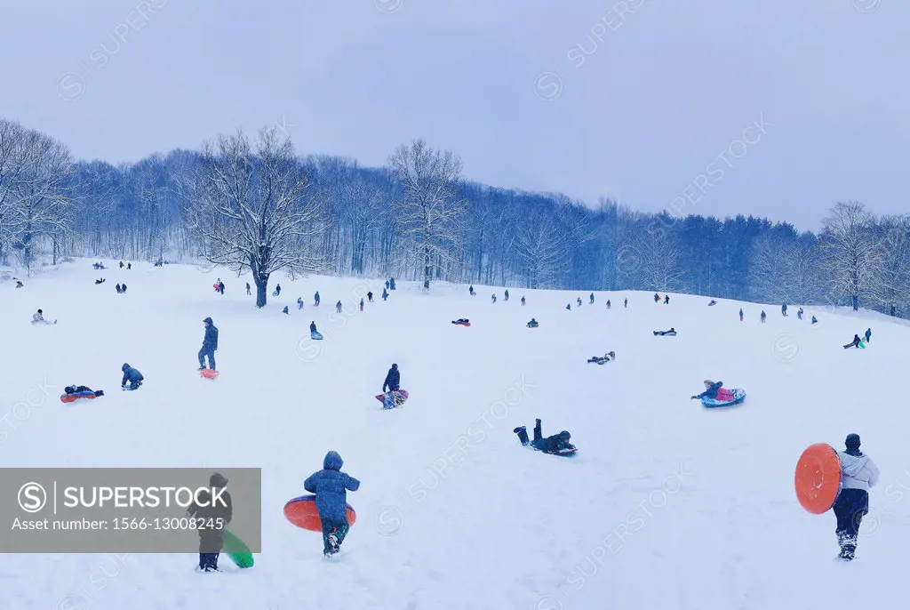 sleigh riding, snow, winter, children