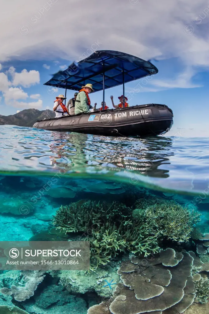 Lindblad Expeditions guests in glass bottom Zodiac on coral reef