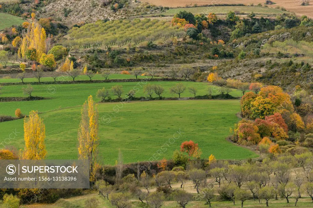 Santa María de la Nuez , municipio de Bárcabo,Sobrarbe, Provincia de Huesca, Comunidad Autónoma de Aragón, Pyrenees Mountains, Spain.