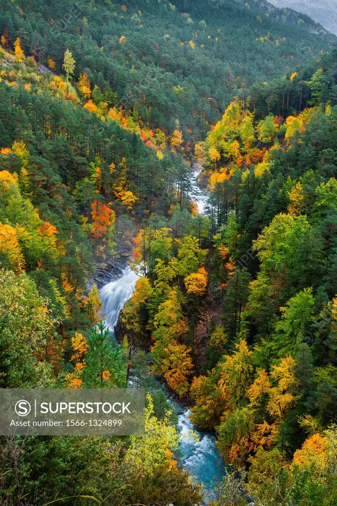 Arazas river and deciduous forest in autumn.