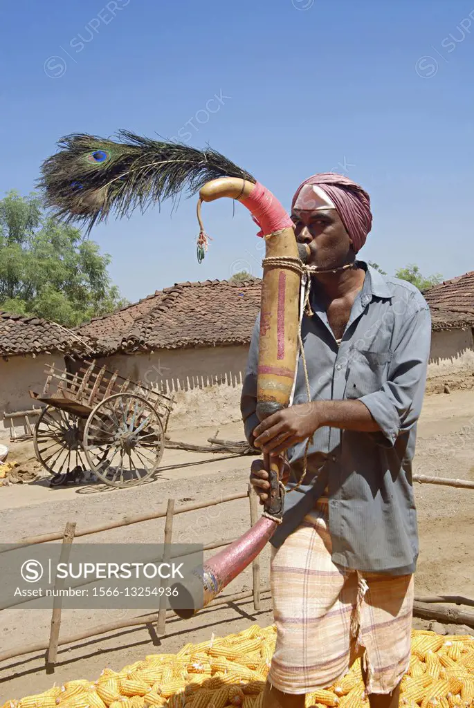 Kokna tribal playing tarpha or pavri, a wind instrument made of dried gourd.