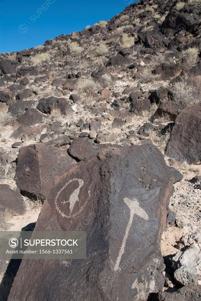 Indian petroglyphs, 400 to 700 years old, Petroglyph National Monument, New Mexico, USA