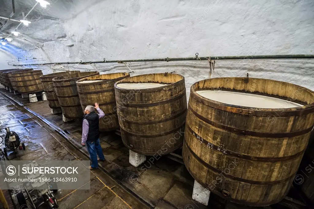 Wooden open fermentation barrels in the historical cellars of Pilsner Urquell Brewery in Pilsen city, Czech Republic.