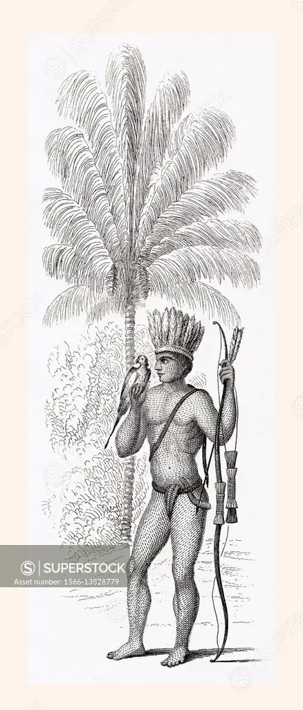 A member of the Arawak tribe of Dutch Guyana; south America in the 19th century. From a 19th century print.